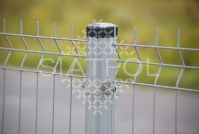 _MG_7634 _MG_7634